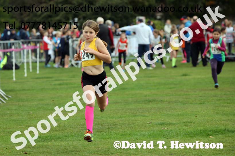 Girls under-11s Northern Cross Country Relays, Graves Park, Sheffield. Photo: David T. Hewitson/Sports for All Pics